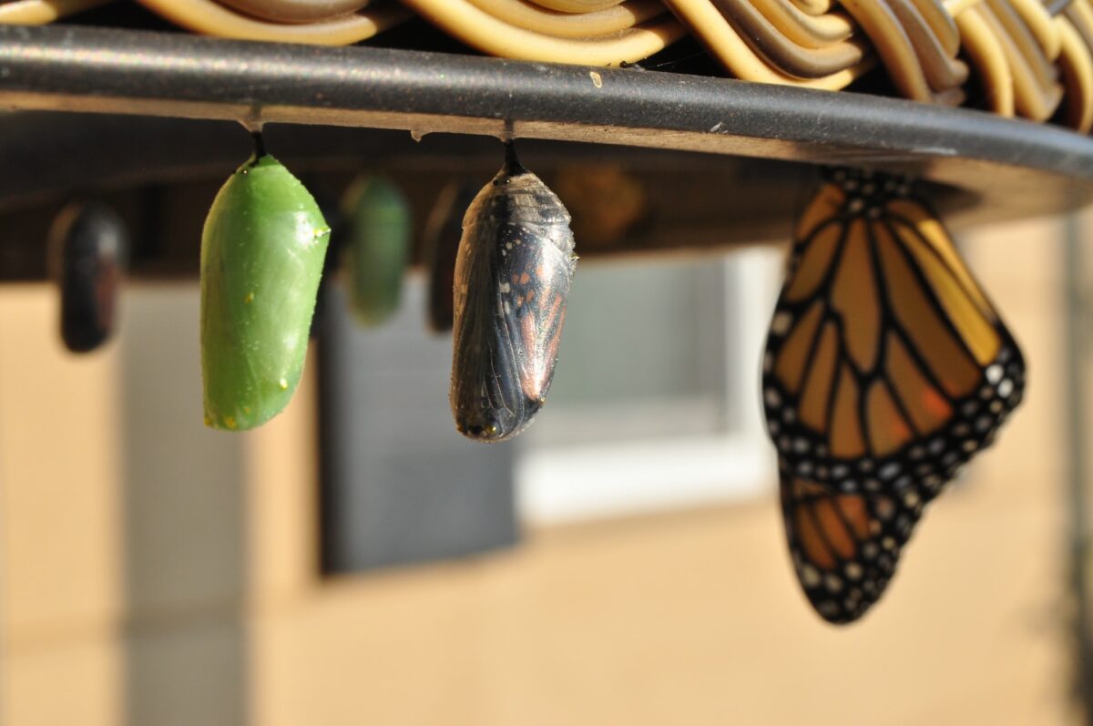 Giving Yourself Full Permission to: Learn and Grow