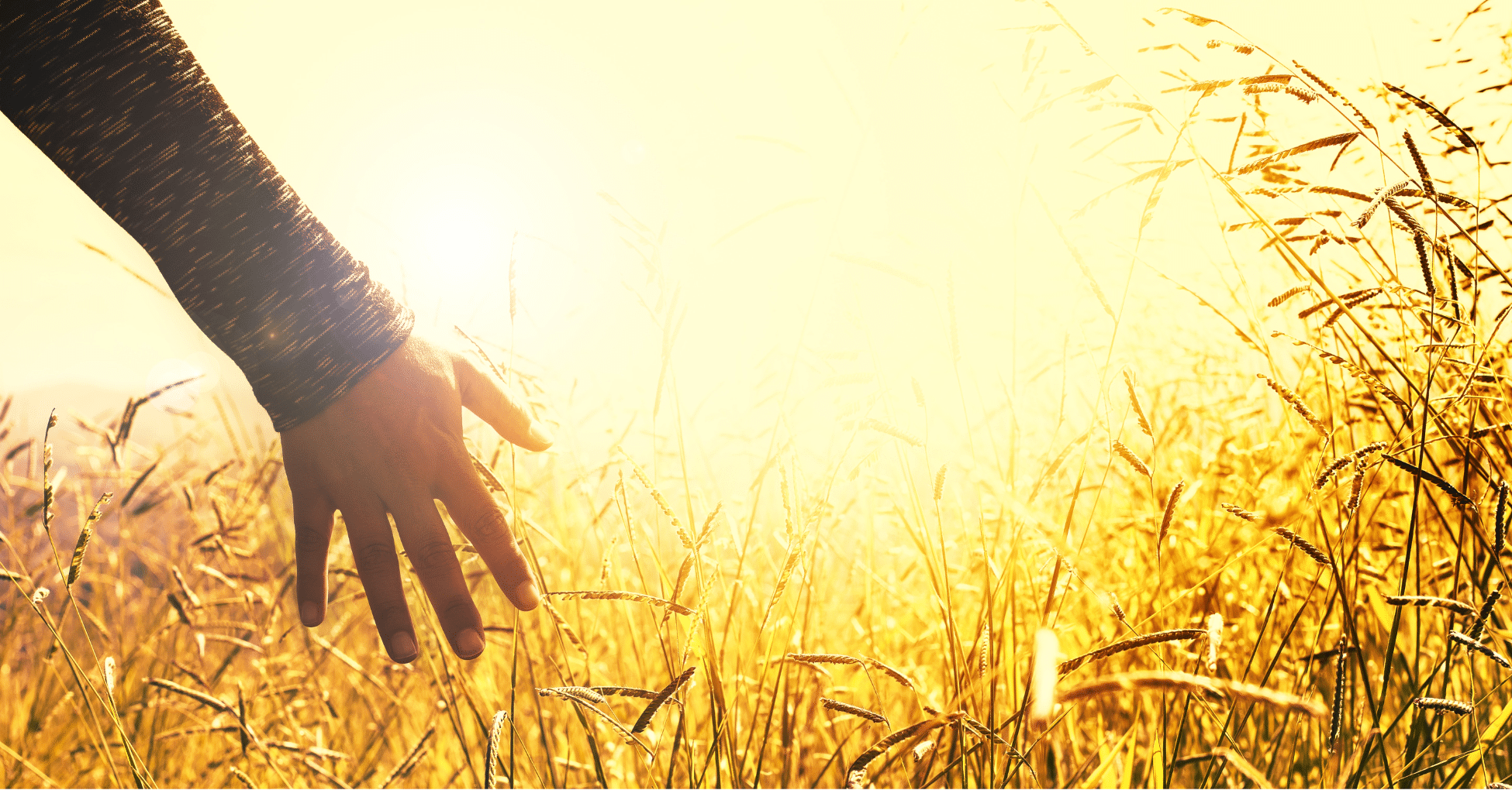 What is an Abundance Mindset