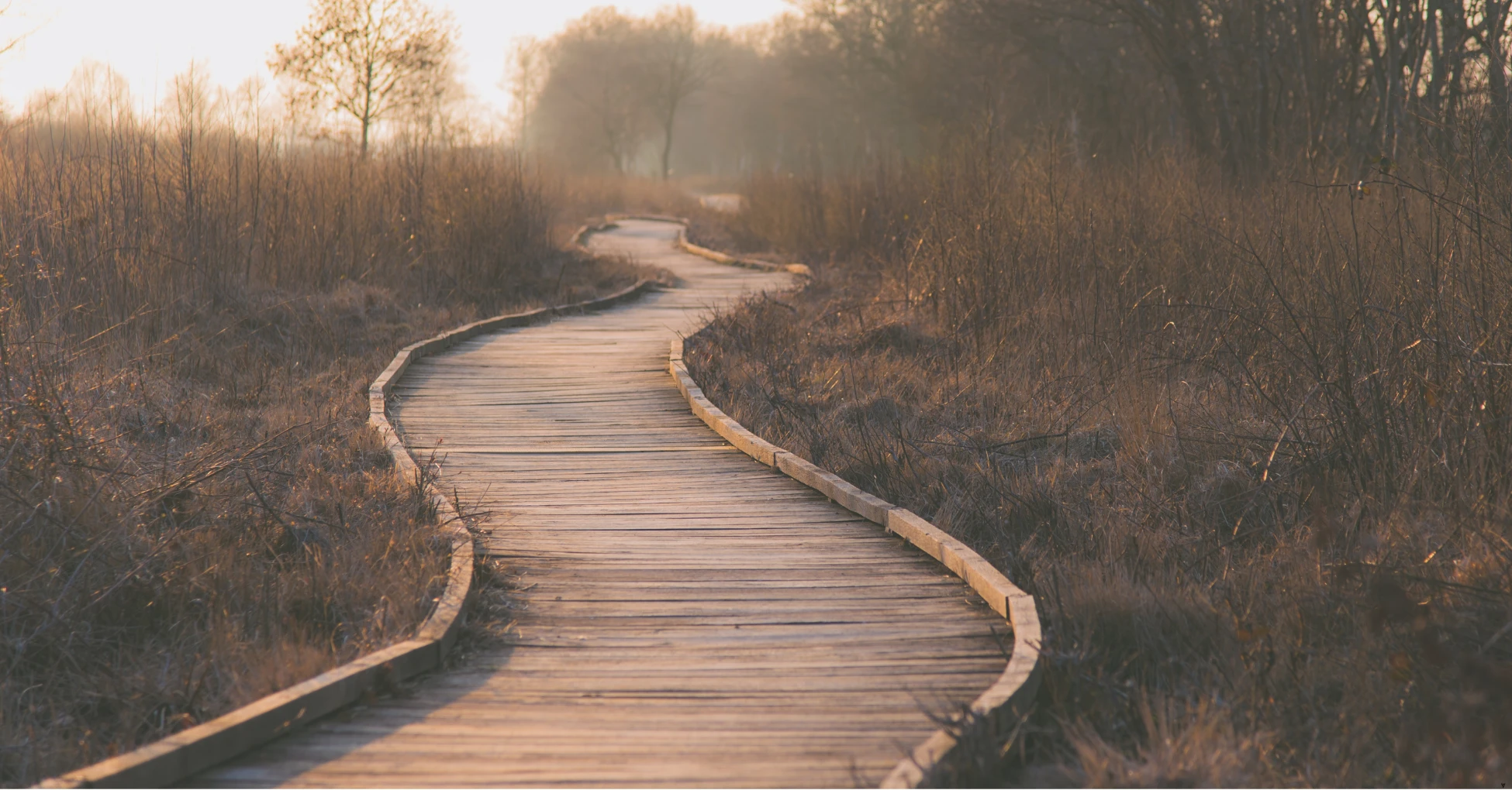 career path unique