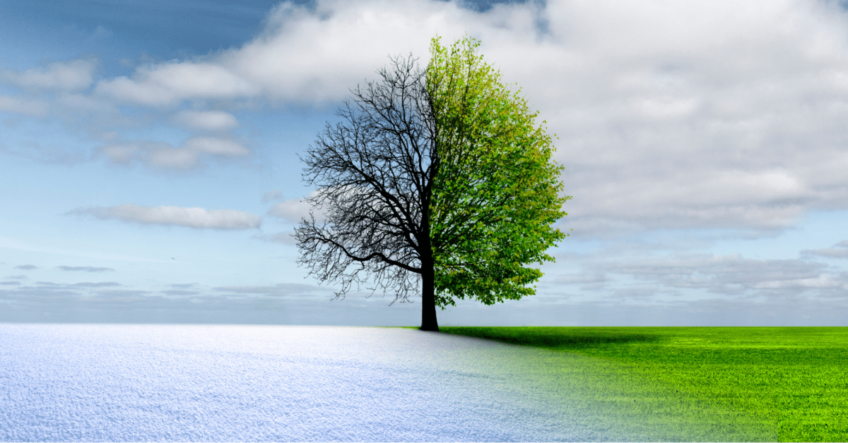 Change vs. Transformation