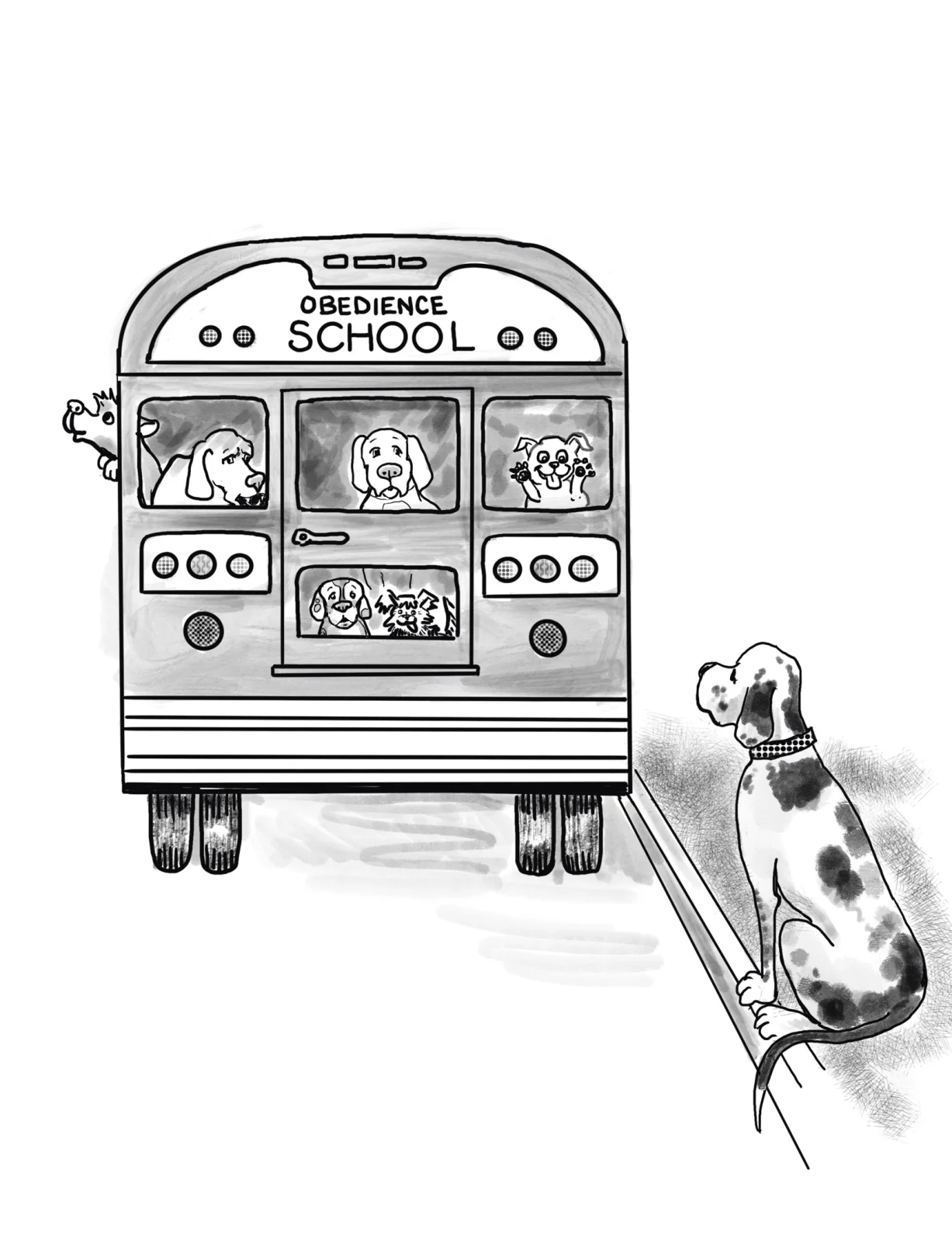 dog at bus stop