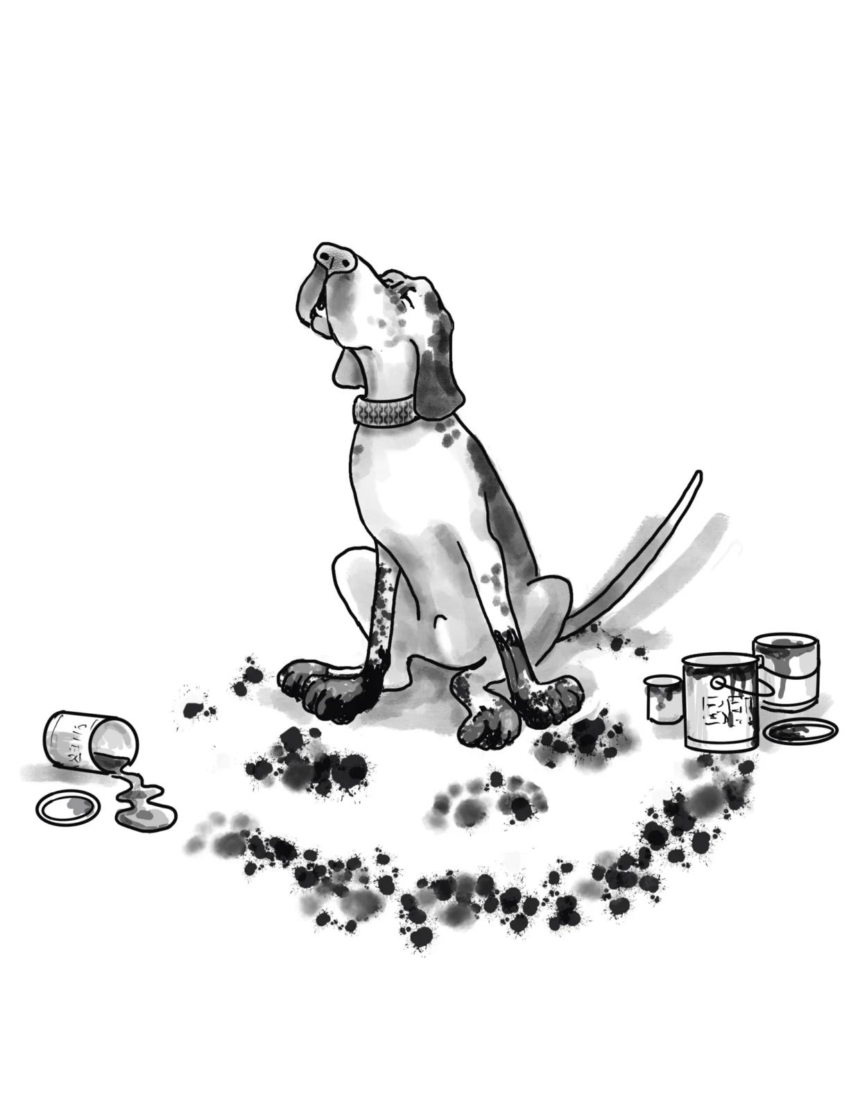 dog gallon of paint