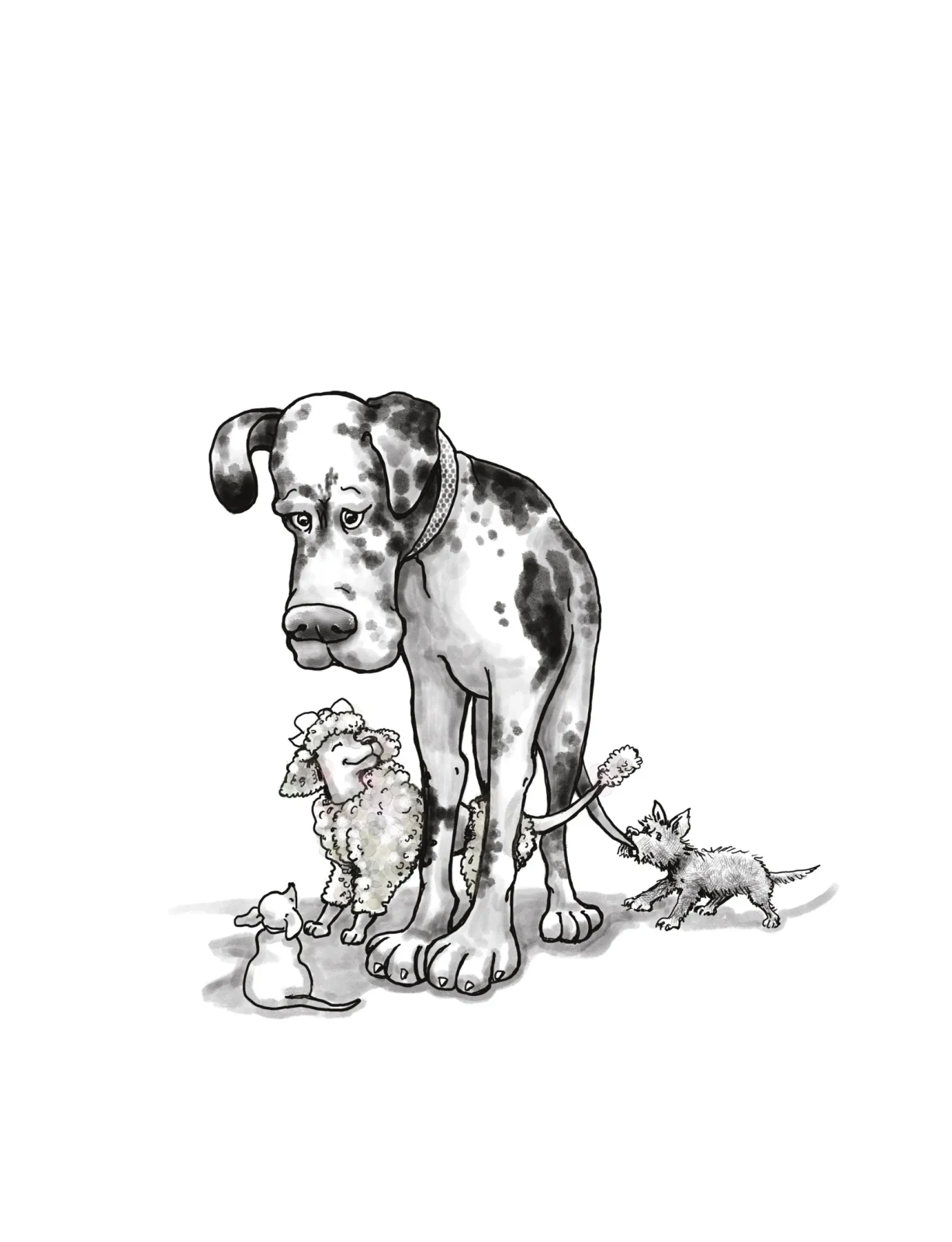 large dog and small dog