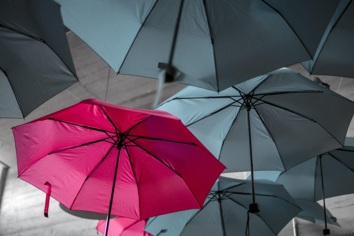 A pink umbrella standing out against the black, "normal umbrellas
