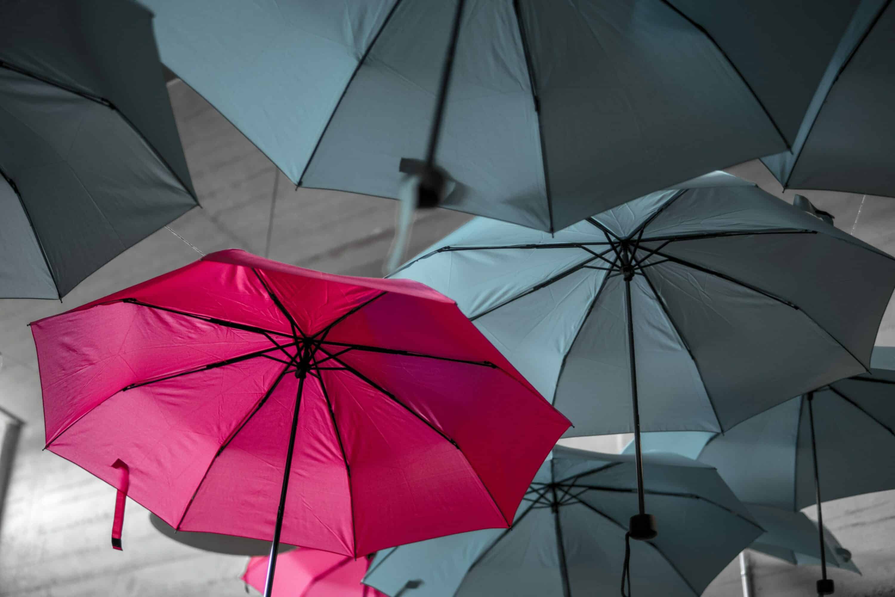 A pink umbrella standing out against the black, "normal umbrellas