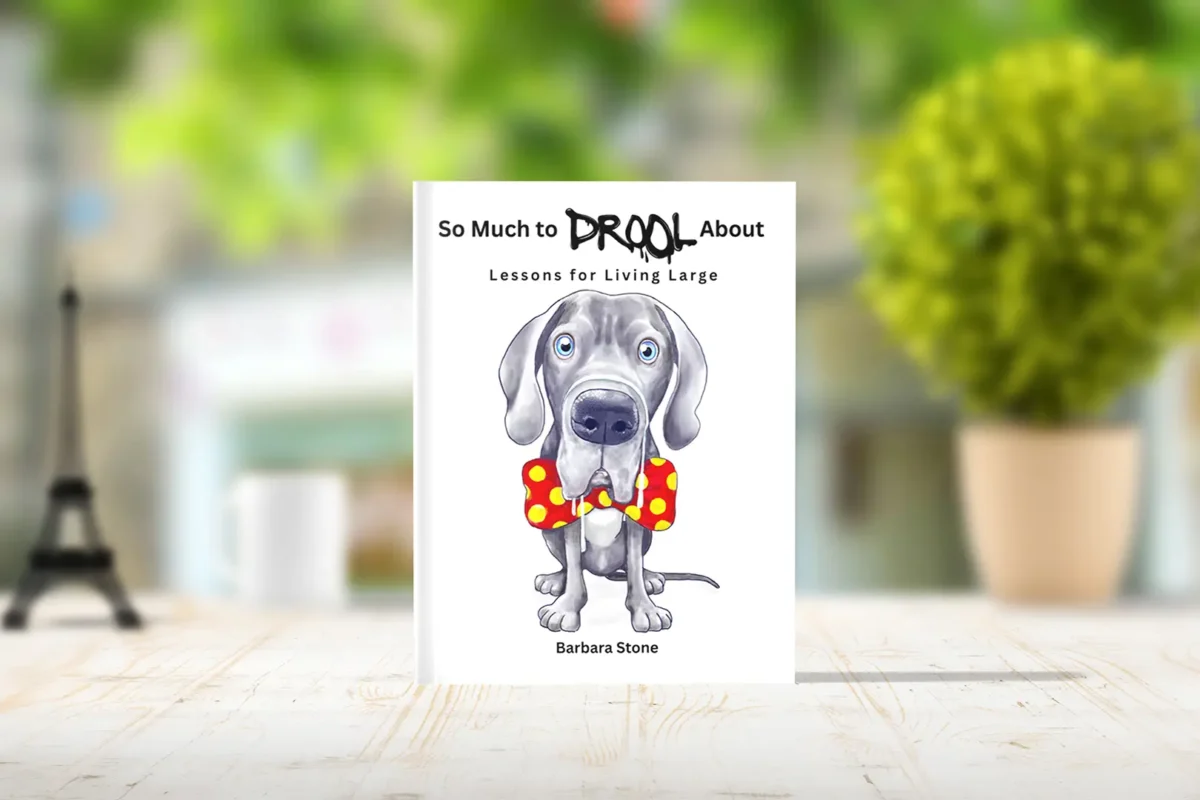 So Much Drool book by Barb Stone sitting on a wooden table