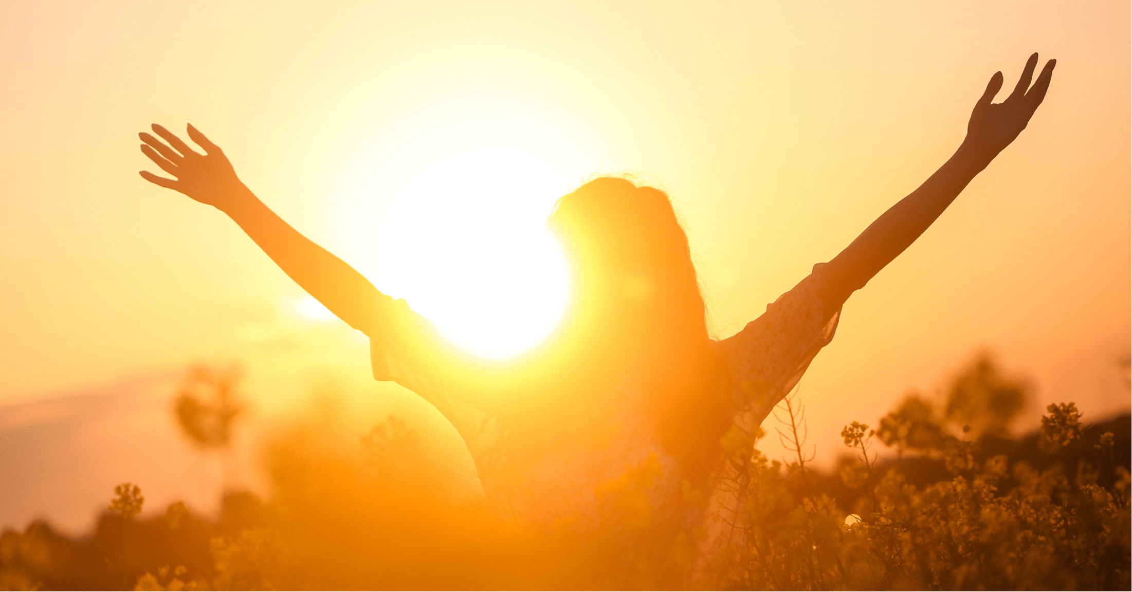 from surviving to thriving
