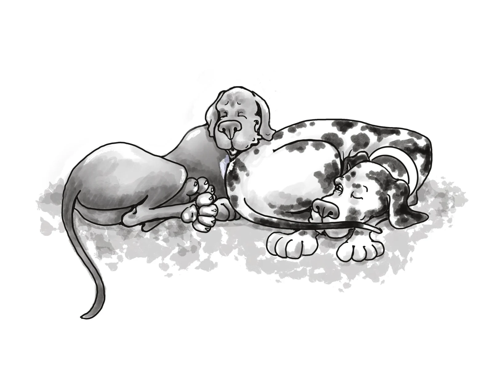 using butts as pillows